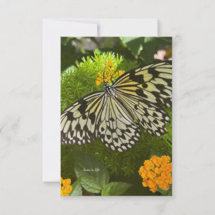 Pretty Black & White Butterfly Card