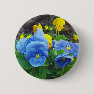 Pretty Blue and Yellow Pansy Floral Photo 6 Cm Round Badge