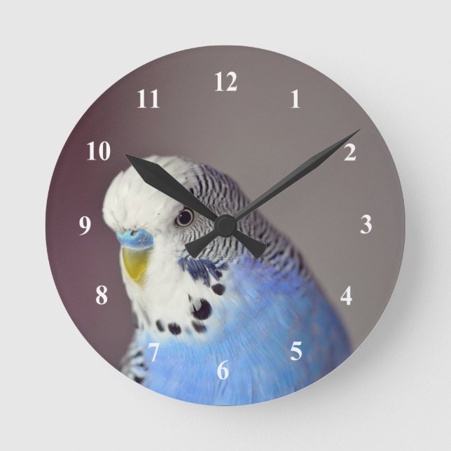 Pretty Blue Budgie Photo Round Clock (Front)