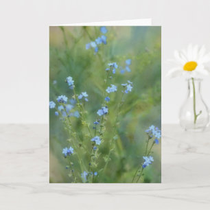 Pretty Blue Flowers Wildflower Art Note Card