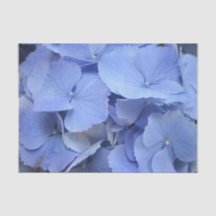 Pretty Blue Hydrangea Tissue Paper