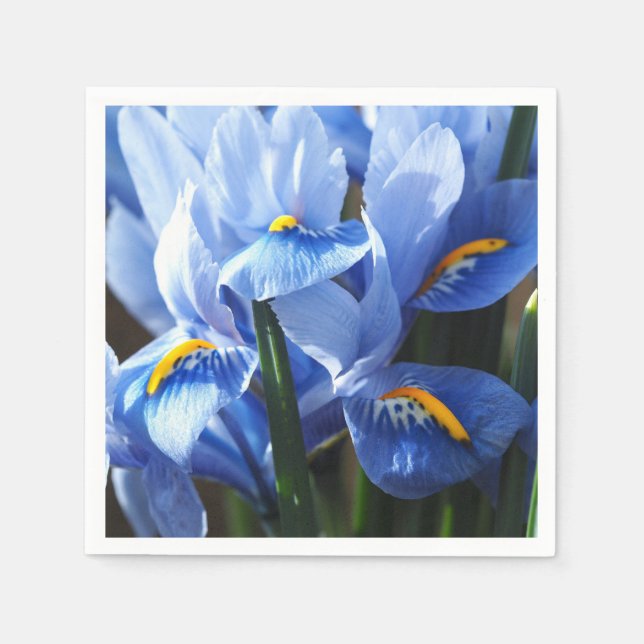 Pretty blue iris napkin (Front)