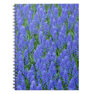 Pretty blue muscari flowers spiral notebook