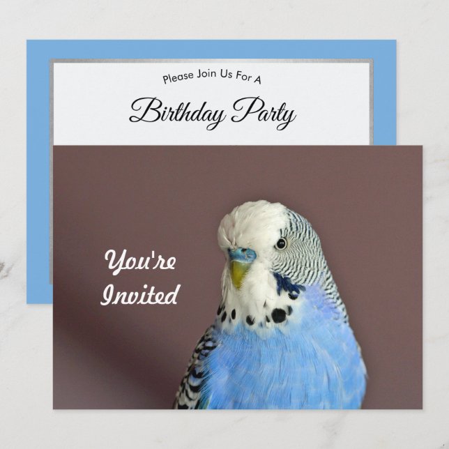 Pretty Blue Parakeet Photo Birthday Invitation (Front/Back)