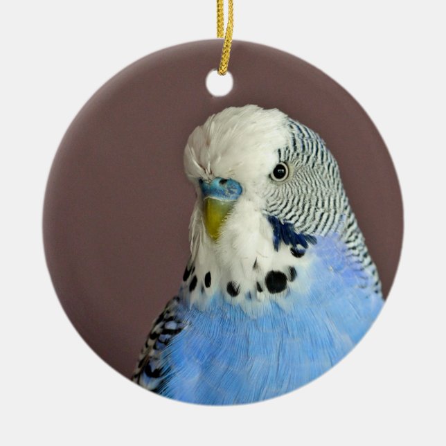 Pretty Blue Parakeet Photo Ceramic Tree Decoration (Front)