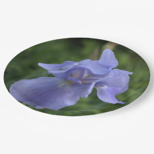Pretty Blue Periwinkle Iris Flower Paper Plate