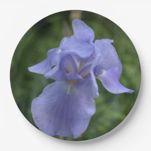 Pretty Blue Periwinkle Iris Flower Paper Plate