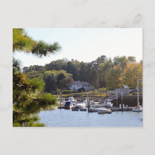 Pretty Blue Water Boat Marina Postcard (Front)