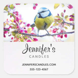Pretty Blue & Yellow Bird on a Branch Business Square Sticker