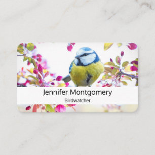 Pretty Blue & Yellow Bird on a Branch Photograph Business Card