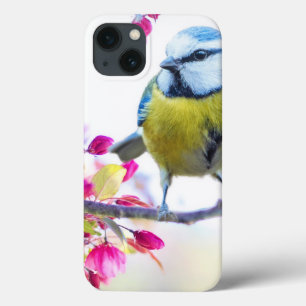 Pretty Blue & Yellow Bird on a Branch Photograph iPhone 13 Case