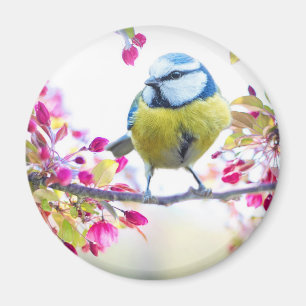 Pretty Blue & Yellow Bird on a Branch Photograph Magnet