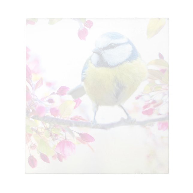 Pretty Blue & Yellow Bird on a Branch Photograph Notepad (Front)