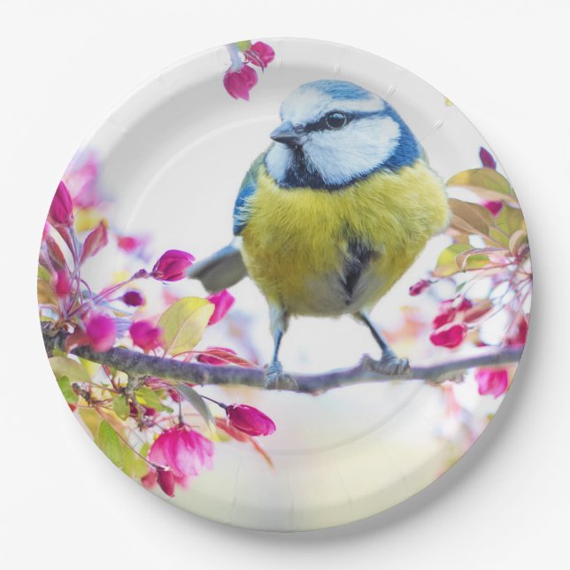 Pretty Blue & Yellow Bird on a Branch Photograph Paper Plate (Front)