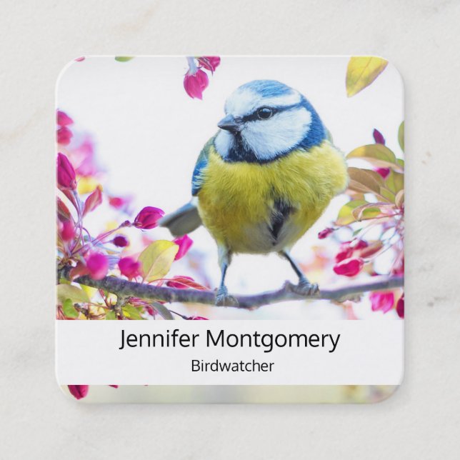 Pretty Blue & Yellow Bird on a Branch Photograph Square Business Card (Front)