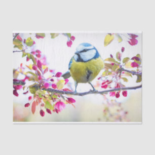 Pretty Blue & Yellow Bird on a Branch Photograph Tissue Paper