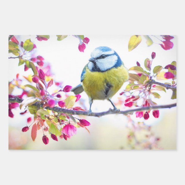 Pretty Blue & Yellow Bird on a Branch Photograph Wrapping Paper Sheet (Front)
