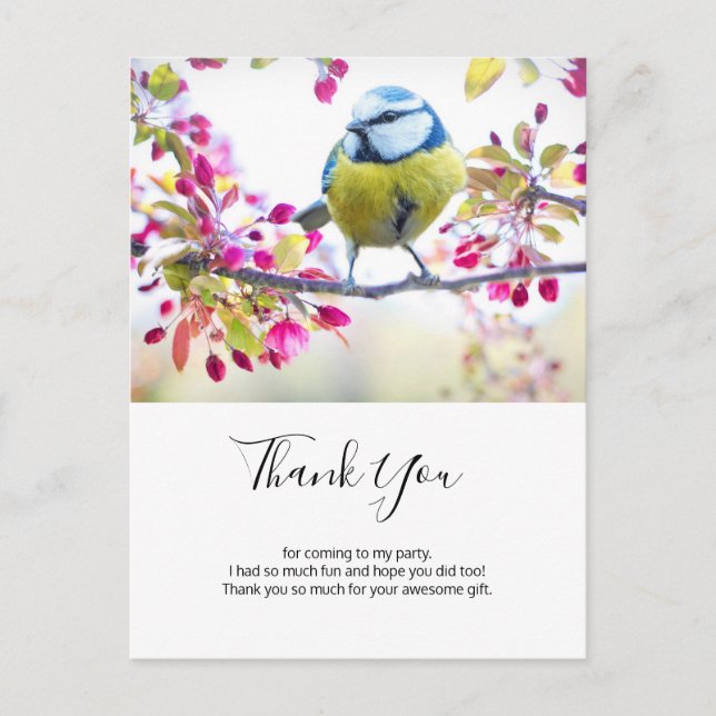 Pretty Blue & Yellow Bird on a Branch Thank You Postcard (Front)