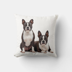 Pretty Boston Terrier Throw Pillow
