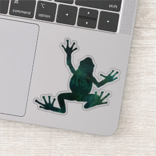 Pretty Botanical Tree Frog
