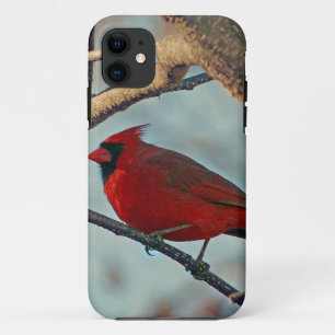 Pretty Boy Male Cardinal iPhone 11 Case