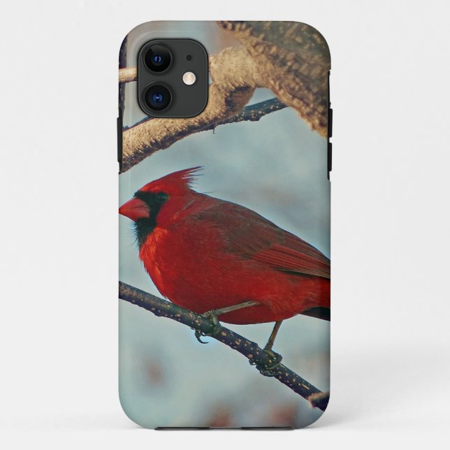 Pretty Boy Male Cardinal Case-Mate iPhone Case (Back)