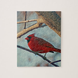 Pretty Boy Male Cardinal Jigsaw Puzzle