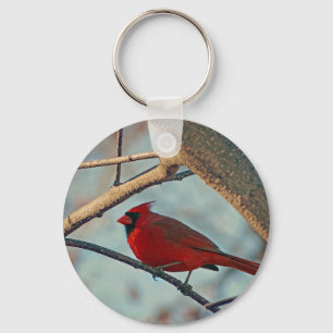 Pretty Boy Male Cardinal Key Ring
