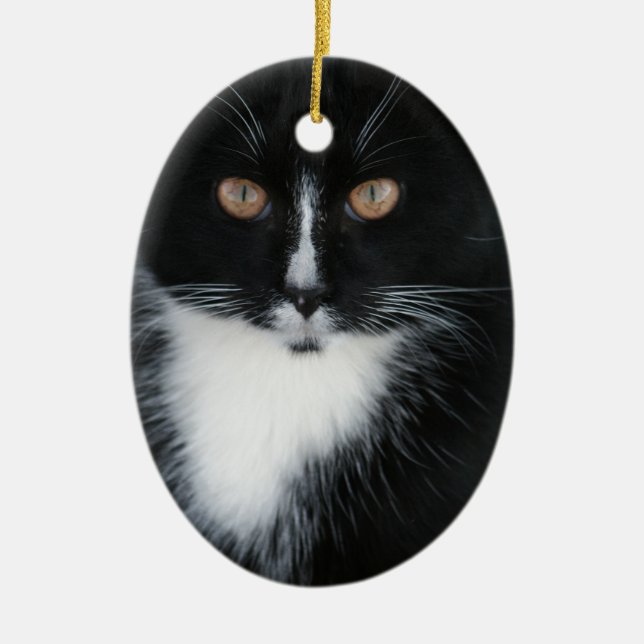 Pretty Boy Tuxedo Kitty Ceramic Tree Decoration (Front)