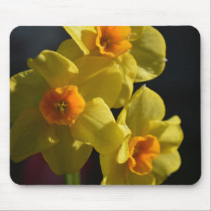 Pretty bright colour yellow daffodil flower mouse pad