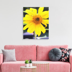Pretty Bright Yellow Sunflower Close-up  Canvas Print