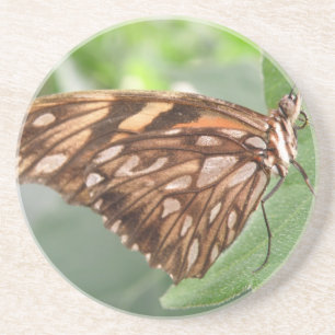 Pretty Brown Butterfly Coasters
