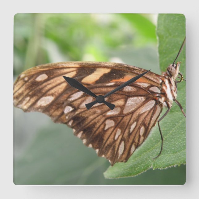Pretty Brown Butterfly Wall Clock (Front)