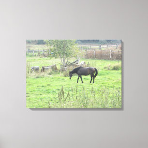 Pretty Brown Horse in the Pasture Photo Wall Art