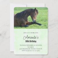 Pretty Brown Horse Laying in the Grass Birthday