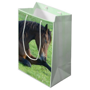 Pretty Brown Horse Laying in the Grass Medium Gift Bag