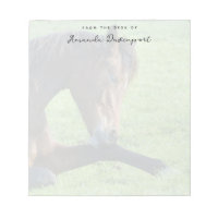 Pretty Brown Horse Laying in the Grass