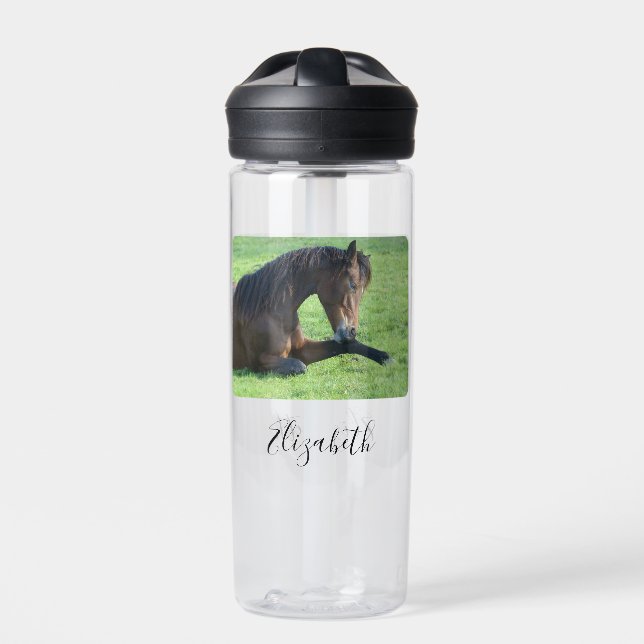 Pretty Brown Horse Laying in the Grass Water Bottle (Front)