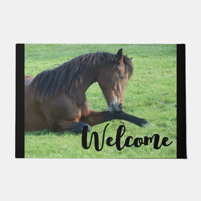 Pretty Brown Horse Laying in the Grass Welcome Doormat (Front)