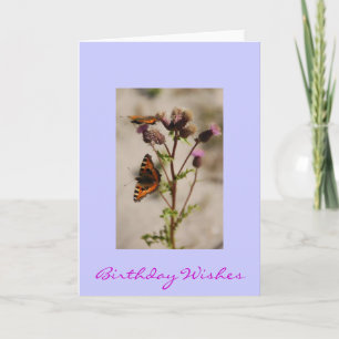 Pretty Butterfly Birthday Card