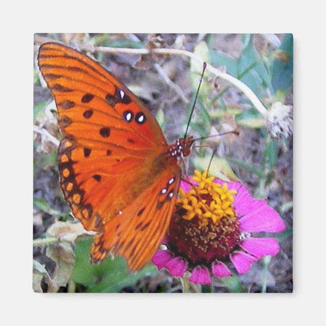 Pretty Butterfly Magnet (Front)