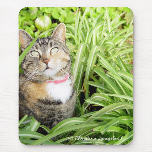 Pretty Calico Cat Mousepad (Front)
