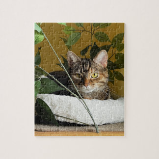 Pretty Cat Behind Leaves on Shelf, Puzzles