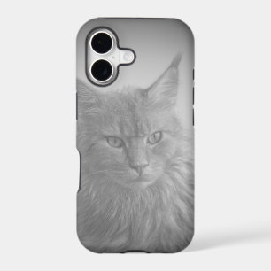 Pretty Cat Design