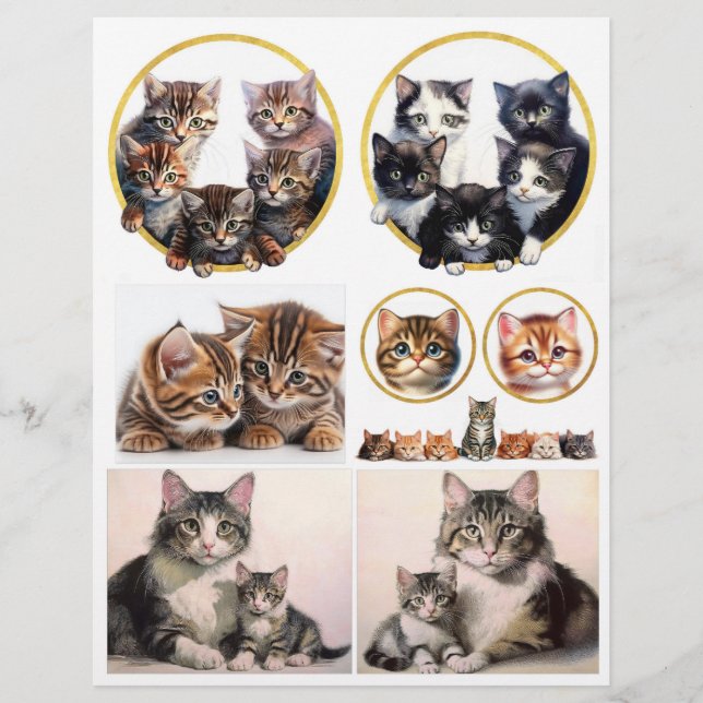 Pretty Cat Illustrations inspired by H. Maguire (Front)