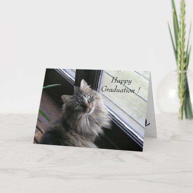 Pretty Cat Says Happy Graduation Card (Front)