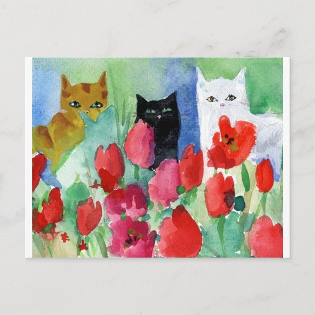 Pretty Cats Postcard (Front)