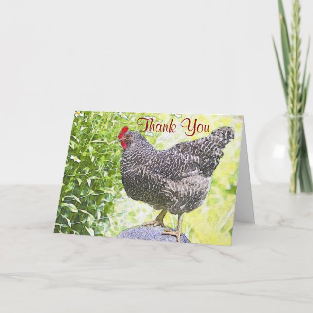 Pretty Chicken Thank You Card (Front)