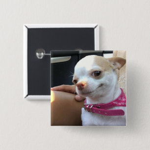 Pretty Chihuahua Dog Meme Pin Button