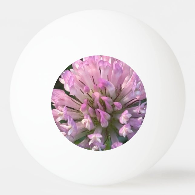 Pretty Clover Flower  Ping Pong Ball (Front)